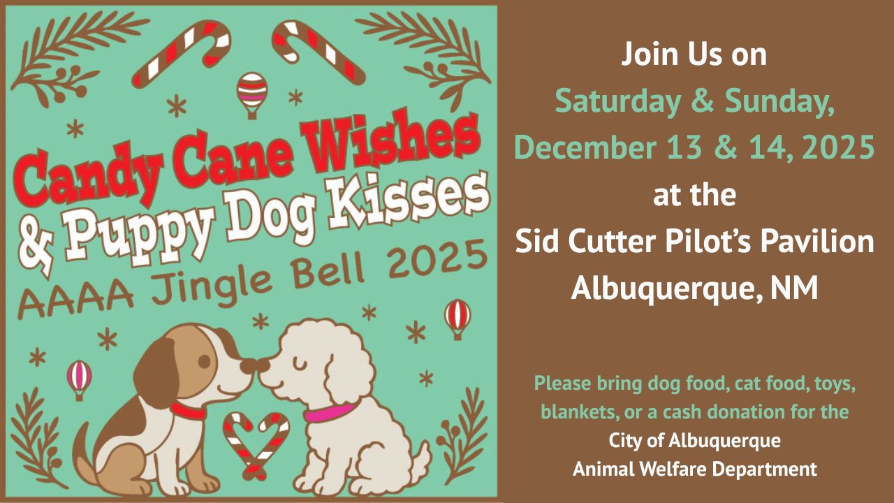 Jingle Bell Non-Rally 2025